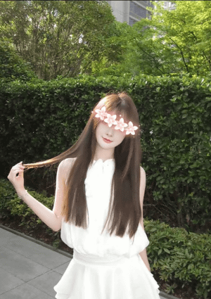 桜の恋 春花ちゃん