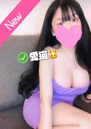愛猫 ななちゃん