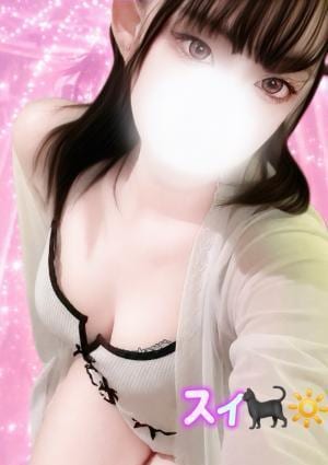 セラドルコレクション スイ 🐈‍⬛🔅