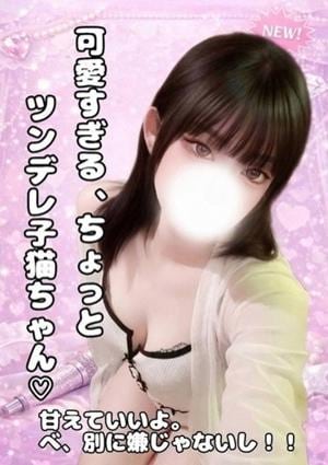 セラドルコレクション スイ 🐈‍⬛🔅
