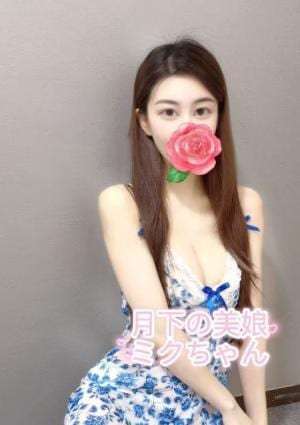 月下の美娘 ミクちゃん