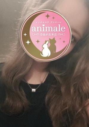 自由が丘メンズエステanimale（アニマーレ）本店 maho