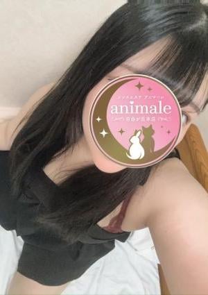 自由が丘メンズエステanimale（アニマーレ）本店 いちは