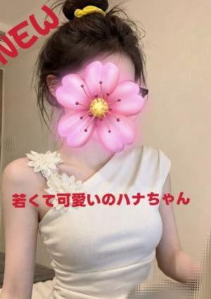 こねこ ハナちゃん