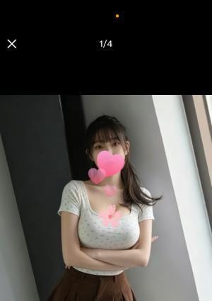 心の癒し モアちゃん