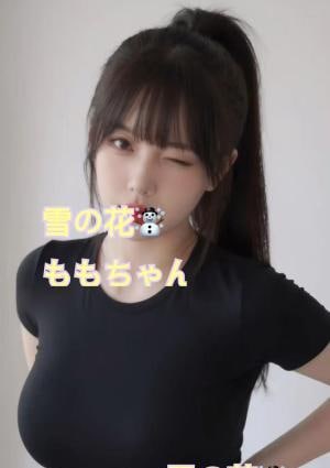 雪の花 ももちゃん