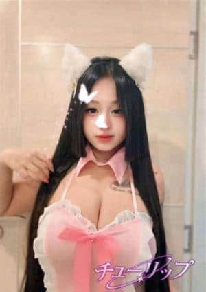 チューリップ まゆ