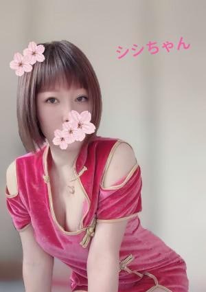 星の夢 シシちゃん