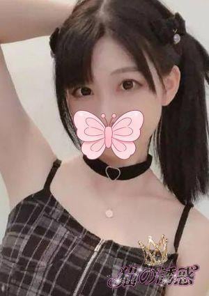 猫の誘惑 あら