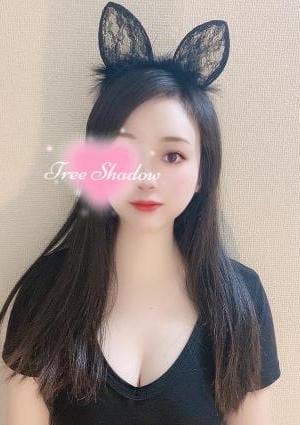 Tree Shadow（ツリーシャドウ） 綾