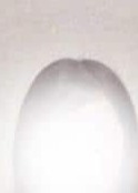 Pulunt（プルント） こと