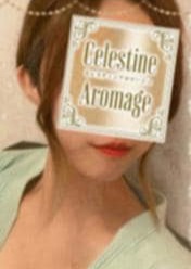 LUXEセレスティンアロマージュ 浦和・南浦和・武蔵浦和・東川口 四ノ宮　あすか