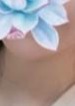 桃の花（もものはな） 新人：ねねちゃん