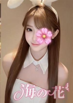 海の花 れい