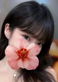 泡泡姬 ここ