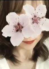 Aroma Rose 天海 ゆの