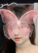 蛍ホタル かな
