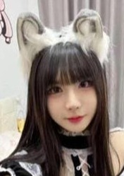 台湾ハニー ねこ
