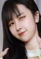 紅玫瑰 ササ