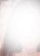 マダムノワール 南条(なんじょう