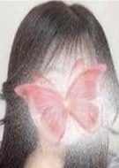 もくきん堂 十三 愛沢みれい