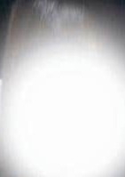 LIRICA OSAKA（リリカ大阪） 白石めぐ