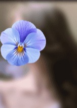 Floracce（フロラセ） ゆみ