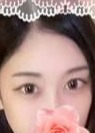 おいでやす はなちゃん
