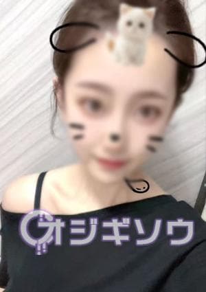 オジギソウ リサちゃん