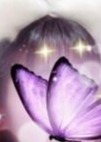 星彩 もえ