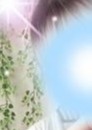 星彩 みるく
