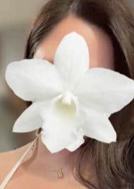 女神の手 ましろ