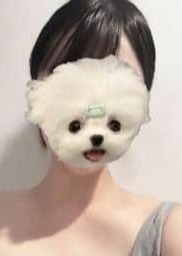 lunalatte（ルナラテ）新橋ルーム 大谷ゆめ