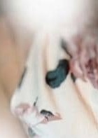 Happiness Heart 深澤