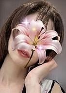 都-miyako-八王子ルーム 瀬里