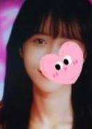 ピンクフラワー 【新人】ここちゃん