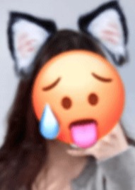 メイク濃いめの猫 せら