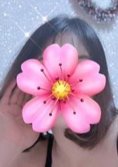 ハニー さくらちゃん