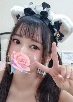 Hawaii（ハワイ） ねる