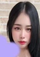 猫ちゃんの日記 ミリア