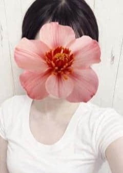 スイートワゴン すず