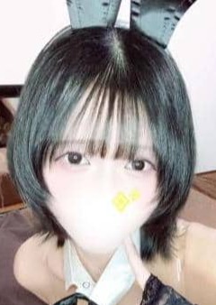 PLAY BOY CLUB（プレイボーイクラブ） Shiho（シホ）