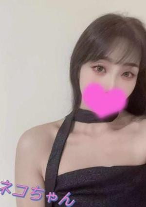 Blossom～ブロッサム ネコちゃん