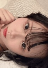 桜の恋 かなこちゃん