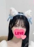 bad kitty ここ