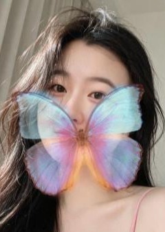 ちょうちょう りさちゃん
