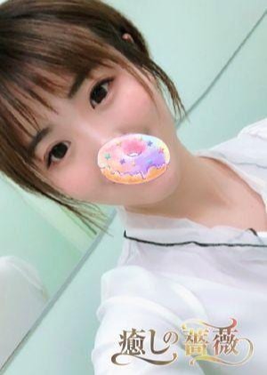 癒しの薔薇 まりん