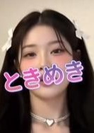 ベトナム妖精 ここ