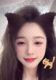 ひまわり ここちゃん