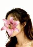 藤の花 ノア